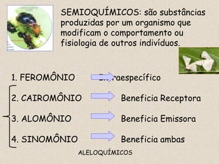 SEMIOQUÍMICOS: são substâncias produzidas por um organismo que modificam o comportamento ou fisiologia de outros indivíduos. ALELOQUÍMICOS 1. FEROMÔNIO Intraespecífico 2. CAIROMÔNIO Beneficia Receptora 3. ALOMÔNIO Beneficia Emissora 4. SINOMÔNIO Beneficia ambas