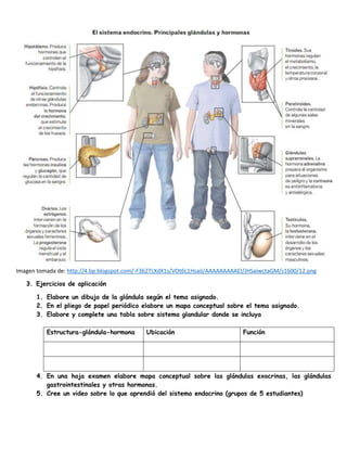 Imagen tomada de: http://4.bp.blogspot.com/-F362TLXdX1s/VOt6L1HsaiI/AAAAAAAAAEI/JHSaiwctaGM/s1600/12.png
3. Ejercicios de ...