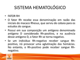 SISTEMA HEMATOLÓGICO
• FATOR RH
• O fator Rh recebe essa denominação em razão das
iniciais do macaco Rhesus, que serviu de cobaia para os
estudos do sangue.
• Possui em sua composição um antígeno denominado
antígeno D considerado Rh-positivo, e na ausência
desse antígeno D, o fator Rh se torna negativo.
• Se um indivíduo Rh-negativo receber sangue Rh-
positivo, irá provocar uma aglutinação das hemácias.
No entanto, o Rh-positivo pode receber sangue Rh-
negativo.
 