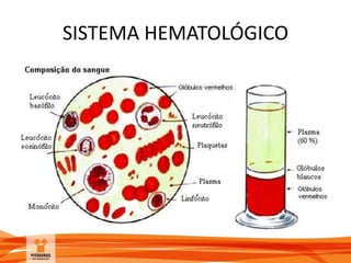 SISTEMA HEMATOLÓGICO
 