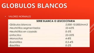 • VALORES NORMALES
 