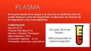 Es la parte liquida de la sangre y es muy rico en proteínas entre las
cuales destacan como las importantes: la albumina, los factores de
la coagulación y las inmunoglobinas
COMPOSICION:
Agua(91.92 %)
Proteínas Plasmáticas (7%)
Albumina, Globulina, Fibrinógeno
SalesInorgánicas ( 0,9%)
Compuestos Orgánicos (2,1%)
Aminoácidos, Hormonas, Lipoproteínas
 
