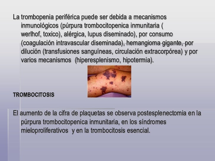 Sistema Hematopoyetico