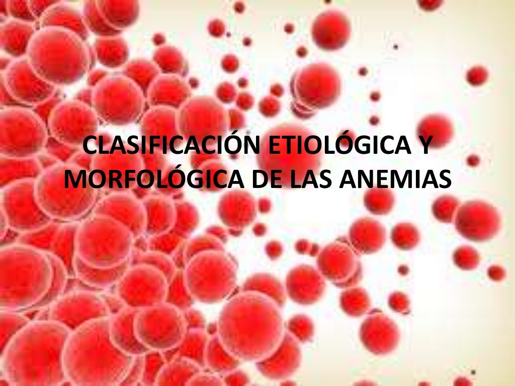 Sistema hematopoyetico