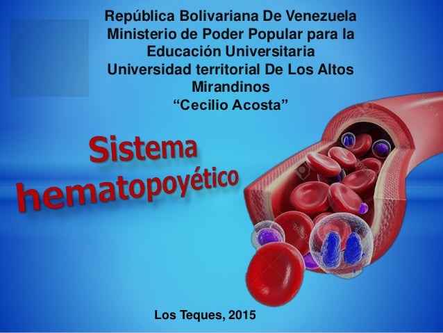 Sistema hematopoyetico