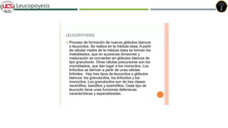 Leucopoyesis
 