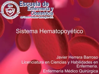 Sistema Hematopoyético Javier Herrera Barroso Licenciatura en Ciencias y Habilidades en Enfermería. Enfermería Médico Quirúrgica 