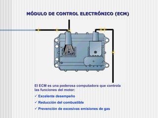 MÓDULO DE CONTROL ELECTRÓNICO (ECM)
Arnés conector
del motor
Arnés conector
del vehículo
 