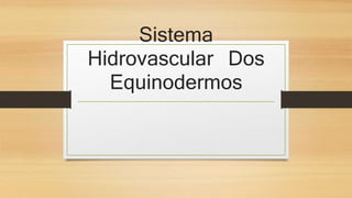 Sistema
Hidrovascular Dos
Equinodermos
 