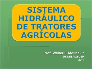 Prof. Walter F. Molina Jr
            DEB/ESALQ/USP
                      2011
 
