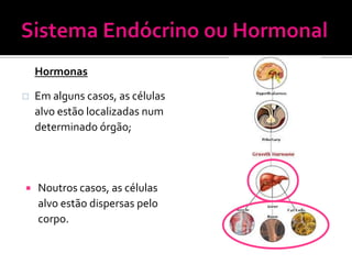 Hormonas

   Em alguns casos, as células
    alvo estão localizadas num
    determinado órgão;




   Noutros casos, as células
    alvo estão dispersas pelo
    corpo.
 
