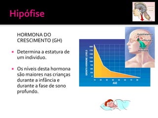 HORMONA DO
    CRESCIMENTO (GH)

   Determina a estatura de
    um individuo.

   Os níveis desta hormona
    são maiores nas crianças
    durante a infância e
    durante a fase de sono
    profundo.
 