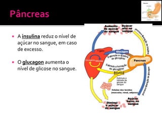    A insulina reduz o nível de
    açúcar no sangue, em caso
    de excesso.

   O glucagon aumenta o
    nível de glicose no sangue.
 