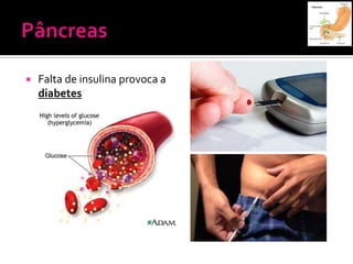    Falta de insulina provoca a
    diabetes
 
