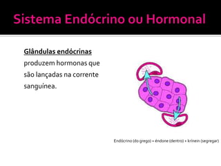 Glândulas endócrinas
produzem hormonas que
são lançadas na corrente
sanguínea.




                           Endócrino (do grego) = éndone (dentro) + krínein (segregar)
 