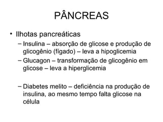 PÂNCREAS
• Ilhotas pancreáticas
  – Insulina – absorção de glicose e produção de
    glicogênio (fígado) – leva a hipoglicemia
  – Glucagon – transformação de glicogênio em
    glicose – leva a hiperglicemia

  – Diabetes melito – deficiência na produção de
    insulina, ao mesmo tempo falta glicose na
    célula
 