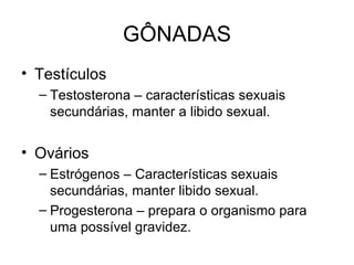 GÔNADAS
• Testículos
  – Testosterona – características sexuais
    secundárias, manter a libido sexual.


• Ovários
  – Estrógenos – Características sexuais
    secundárias, manter libido sexual.
  – Progesterona – prepara o organismo para
    uma possível gravidez.
 