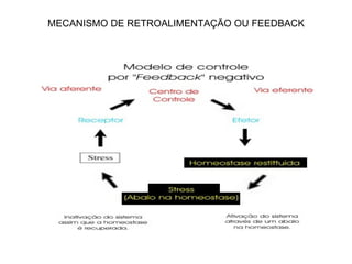 MECANISMO DE RETROALIMENTAÇÃO OU FEEDBACK
 
