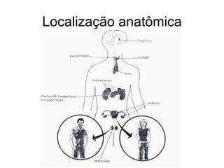 Localização anatômica
 