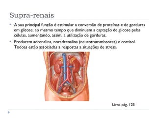 Supra-renais
 A sua principal função é estimular a conversão de proteínas e de gorduras
em glicose, ao mesmo tempo que diminuem a captação de glicose pelas
células, aumentando, assim, a utilização de gorduras.
 Produzem adrenalina, noradrenalina (neurotransmissores) e cortisol.
Todoas estão associadas a respostas a situações de stress.
Livro pág. 123
 