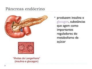 Pâncreas endócrino
 produzem insulina e
glucagon, substâncias
que agem como
importantes
reguladores do
metabolismo de
açúcar
“Ilhotas de Langerhans”
(insulina e glucagon)
 