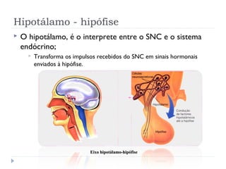 Eixo hipotálamo-hipófiseEixo hipotálamo-hipófise
Hipotálamo - hipófise
 O hipotálamo, é o interprete entre o SNC e o sistema
endócrino;
 Transforma os impulsos recebidos do SNC em sinais hormonais
enviados à hipófise.
 