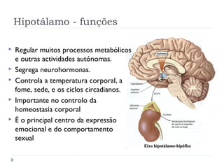 Eixo hipotálamo-hipófiseEixo hipotálamo-hipófise
 Regular muitos processos metabólicos
e outras actividades autónomas.
 Segrega neurohormonas.
 Controla a temperatura corporal, a
fome, sede, e os ciclos circadianos.
 Importante no controlo da
homeostasia corporal
 É o principal centro da expressão
emocional e do comportamento
sexual
Hipotálamo - funções
 