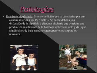 sistema-hormonal-odp
