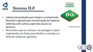 8
Sistema ILF
Fonte:Comprerural
• sistema de produção que integra o componente
florestal e agrícola pela consorciação de espécies
arbóreas com cultivos agrícolas anuais ou
perenes;
• Necessitam que as culturas e as pastagens sejam
implantadas em faixas para facilitar o manejo e o
fluxo de máquinas agrícolas;
 