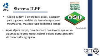 10
Sistema ILPF
• A ideia da ILPF é de produzir grãos, pastagem
para o gado e madeira de forma integrada na
mesma área, mas não tudo ao mesmo tempo.
• Após algum tempo, há o desbaste das árvores que retira
algumas para usos menos nobres e deixa outras para fins
de maior valor agregado.
Fonte:Redeilpf
 