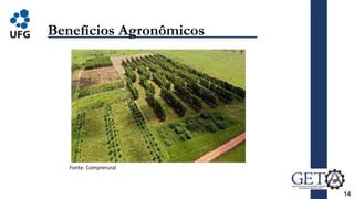 14
Benefícios Agronômicos
Fonte: Comprerural
 