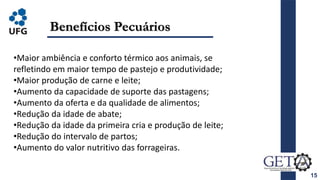 15
Benefícios Pecuários
•Maior ambiência e conforto térmico aos animais, se
refletindo em maior tempo de pastejo e produtividade;
•Maior produção de carne e leite;
•Aumento da capacidade de suporte das pastagens;
•Aumento da oferta e da qualidade de alimentos;
•Redução da idade de abate;
•Redução da idade da primeira cria e produção de leite;
•Redução do intervalo de partos;
•Aumento do valor nutritivo das forrageiras.
 