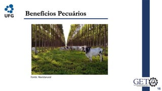 16
Benefícios Pecuários
Fonte: Revistarural
 