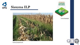 5
Sistema ILP
Fonte:Comprerural
Fonte:Redeilpf
 