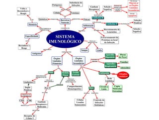 Sistema Imunológico - Componentes e organização funcional