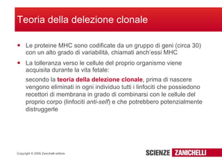 Le proteine MHC sono codificate da un gruppo di geni (circa 30) con un alto grado di variabilità, chiamati anch’essi MHC La tolleranza verso le cellule del proprio organismo viene acquisita durante la vita fetale: Teoria della delezione clonale secondo la  teoria della delezione clonale , prima di nascere vengono eliminati in ogni individuo tutti i linfociti che possiedono recettori di membrana in grado di combinarsi con le cellule del proprio corpo (linfociti  anti-self ) e che potrebbero potenzialmente distruggerle 