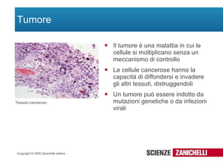 Tumore Il tumore è una malattia in cui le cellule si moltiplicano senza un meccanismo di controllo Le cellule cancerose hanno la capacità di diffondersi e invadere gli altri tessuti, distruggendoli Un tumore può essere indotto da mutazioni genetiche o da infezioni virali Tessuto canceroso 