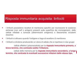 Sistema immunitario Slide 15