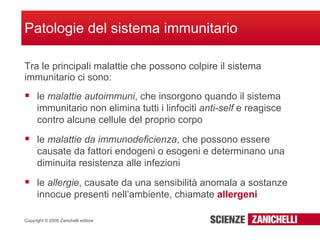 Sistema immunitario Slide 30