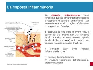 Sistema immunitario Slide 9