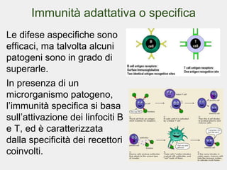 Sistema immunitario.pptx