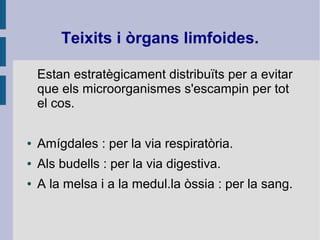 Teixits i òrgans limfoides.
Estan estratègicament distribuïts per a evitar
que els microorganismes s'escampin per tot
el cos.
● Amígdales : per la via respiratòria.
● Als budells : per la via digestiva.
● A la melsa i a la medul.la òssia : per la sang.
 