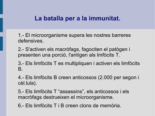 La batalla per a la immunitat.
1.- El microorganisme supera les nostres barreres
defensives.
2.- S'activen els macròfags, fagociten el patògen i
presenten una porció, l'antígen als lmfòcits T.
3.- Els limfòcits T es multipliquen i activen els limfòcits
B.
4.- Els limfòcits B creen anticossos (2.000 per segon i
cèl.lula).
5.- Els limfòcits T “assassins”, els anticossos i els
macròfags destrueixen el microorganisme.
6.- Els limfòcits T i B creen clons de memòria.
 
