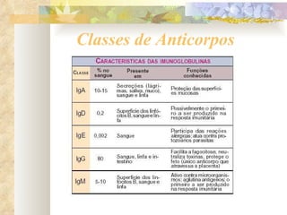 Classes de Anticorpos 