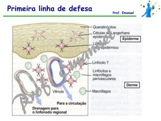 Primeira linha de defesa Prof. Emanuel
 