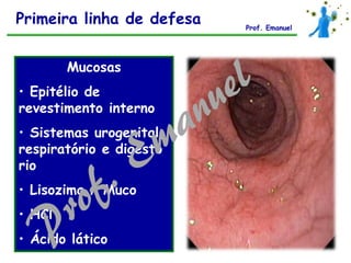 Mucosas
• Epitélio de
revestimento interno
• Sistemas urogenital,
respiratório e digestó
rio
• Lisozima / Muco
• HCl
• Ácido lático
Primeira linha de defesa Prof. Emanuel
 