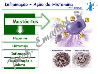Mastócitos
Heparina
Histamina
Vasodilatação e
edema
Inflamação
Inflamação – Ação da Histamina
Prof. Emanuel
 