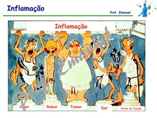 Calor Rubor Tumor Dor Perda de função
Inflamação
Inflamação Prof. Emanuel
 