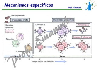 Mecanismos específicos Prof. Emanuel
 