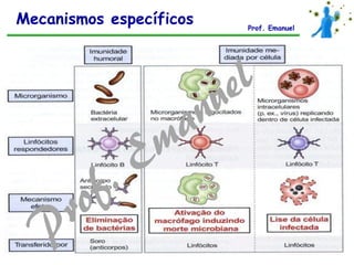 Mecanismos específicos Prof. Emanuel
 